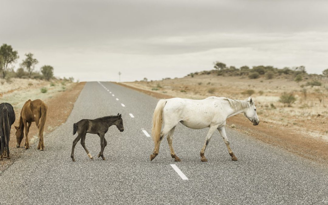 Road to Alice Springs