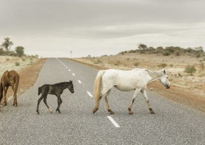 Road to Alice Springs